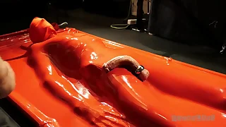 1552 bdsm porn videos